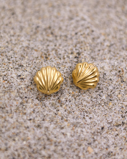 Pair of gold shell hoop earrings resting on fine beach sand