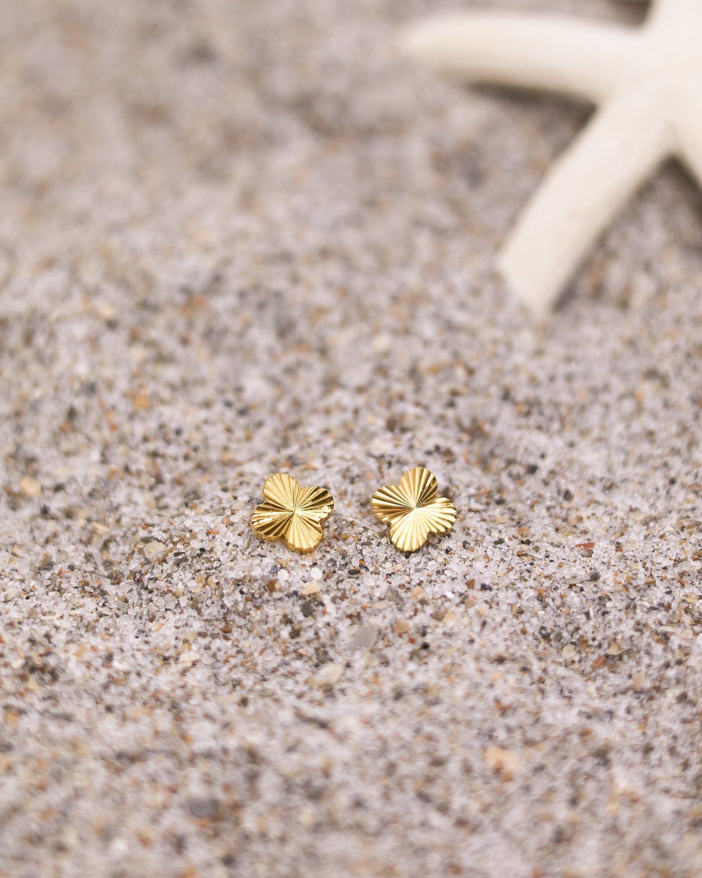 Flat lay of radiant gold clover earrings next to natural elements like starfish and shells