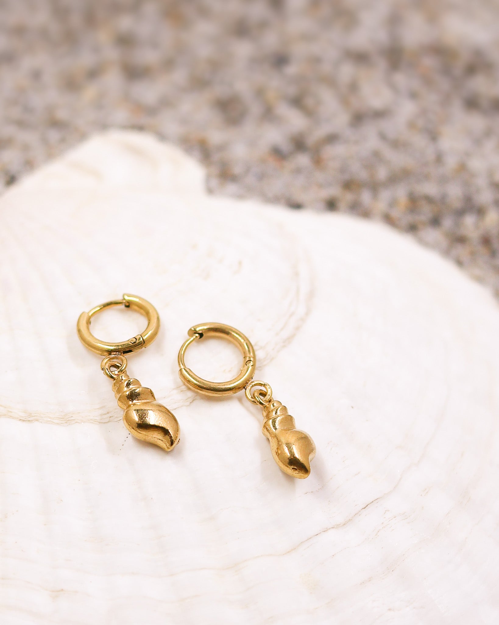 Conch shell hoop earrings with hypoallergenic stainless steel base