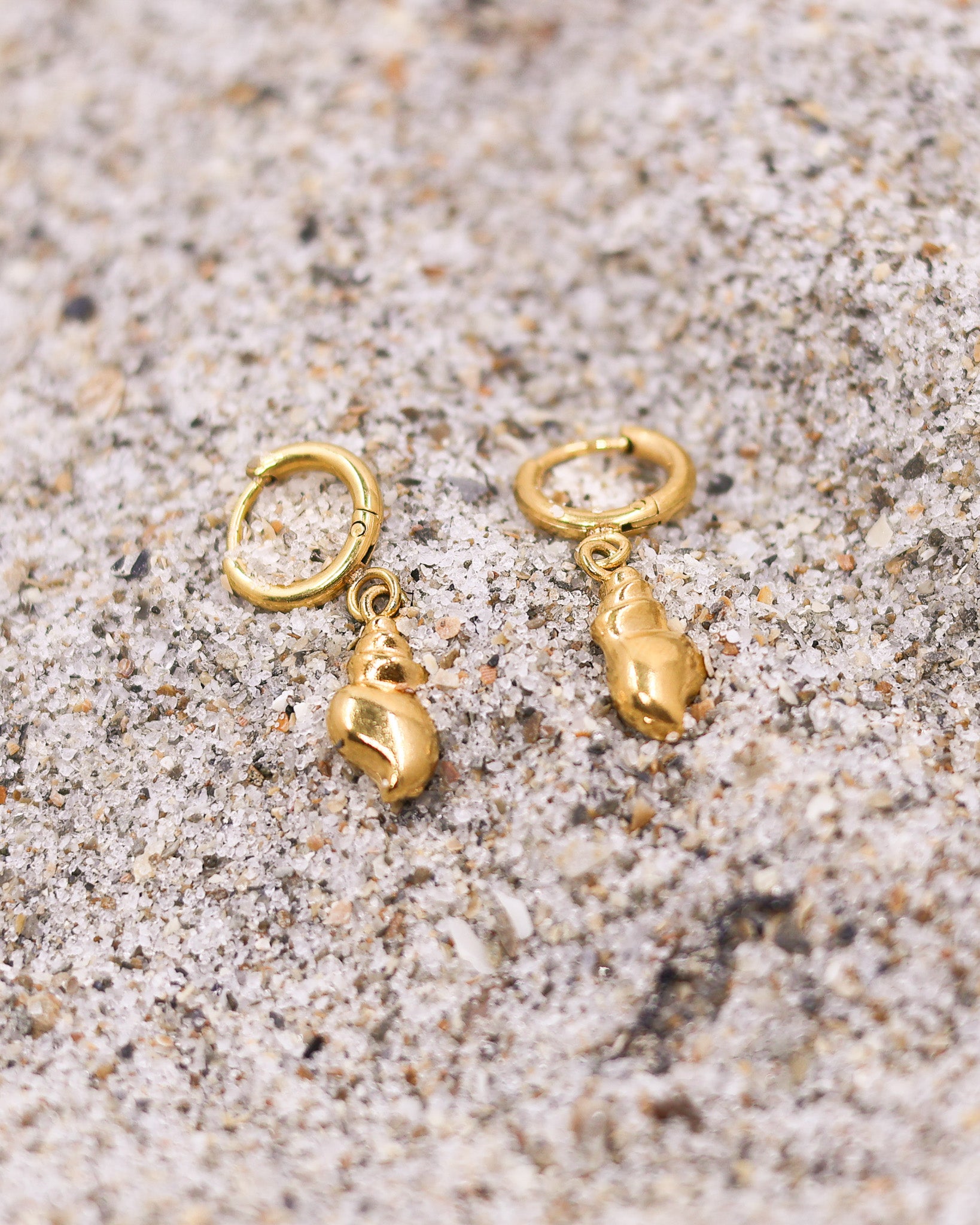 Dainty shell huggies with gold shine and subtle beach-inspired movement