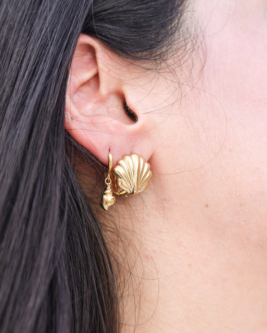 Golden conch shell huggie earrings with delicate coastal charm and shine